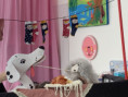 /album/pozor-bodkovany-pes/416047112-641067348103943-3468338293452559237-n-jpg/