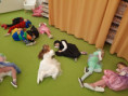 /album/karneval1/20240220-110326-jpg/