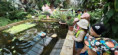 /album/navsteva-botanickej-zahrady/20240517-101721-jpg/