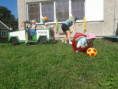 /album/sportovy-den/20240603-093836-jpg/